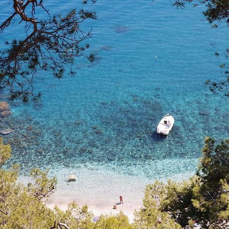 "L'Hippocampe", Climatise, 60 M2 , 2 Chambres, Tres Calme, Plage Des Sablettes Et Commerces A 3 Minutes A Pied, Wifi, Parking Gratuit, Lit King Size ลาแซน-ซูร์-แมร์ ภายนอก รูปภาพ