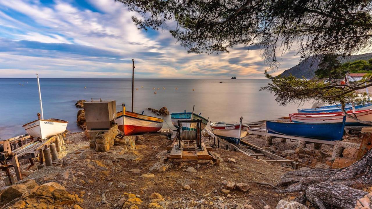 "L'Hippocampe", Climatise, 60 M2 , 2 Chambres, Tres Calme, Plage Des Sablettes Et Commerces A 3 Minutes A Pied, Wifi, Parking Gratuit, Lit King Size ลาแซน-ซูร์-แมร์ ภายนอก รูปภาพ