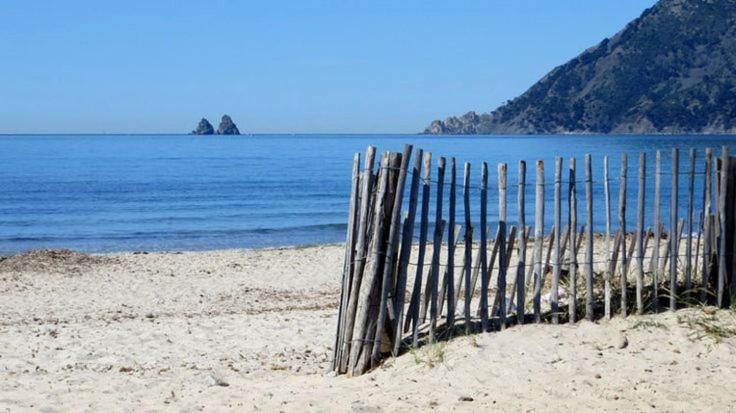 "L'Hippocampe", Climatise, 60 M2 , 2 Chambres, Tres Calme, Plage Des Sablettes Et Commerces A 3 Minutes A Pied, Wifi, Parking Gratuit, Lit King Size ลาแซน-ซูร์-แมร์ ภายนอก รูปภาพ